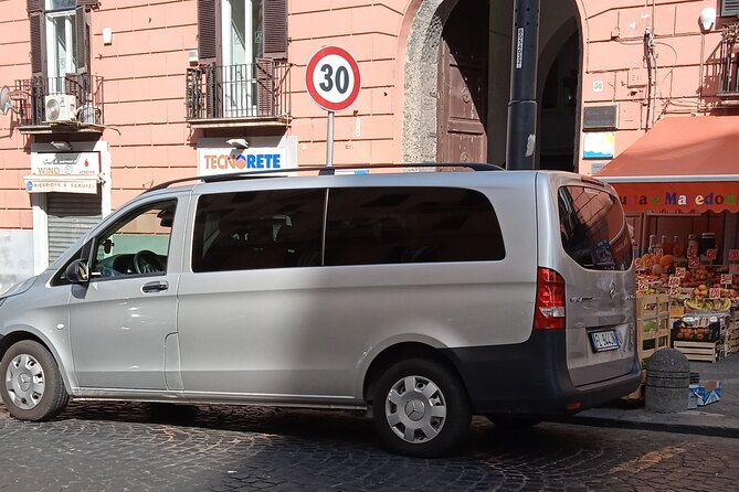 Private day tour: Pompei and Herculenium. - Dress code and practical comfort details