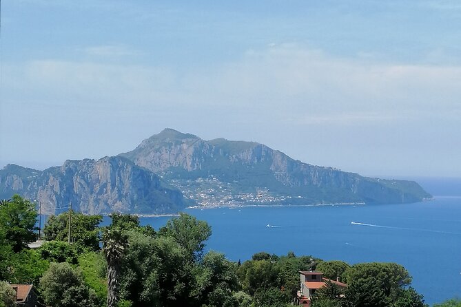 Private day tour: Pompei,Vesuvius and Herculaneum. - Should you book this tour?