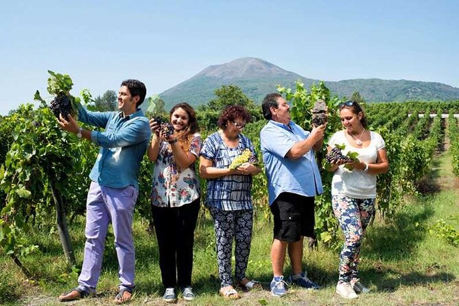 Private day tour: Sorrento, Positano, Amalfi and Ravello. - Amalfi: The Ending Town That Brings the Route Together