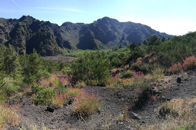 Private Day Tour to Vesuvius, Herculaneum & Pompeii with Pick Up - Should You Book This Private Vesuvius-Pompeii-Herculaneum Day Trip?