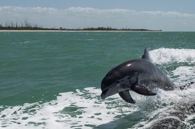 PRIVATE Eco Boat Trip out of Naples Bay, FL , island stop incl. - Gordon Pass and the Northern Ten Thousand Islands: Where the Water Gets Narrow