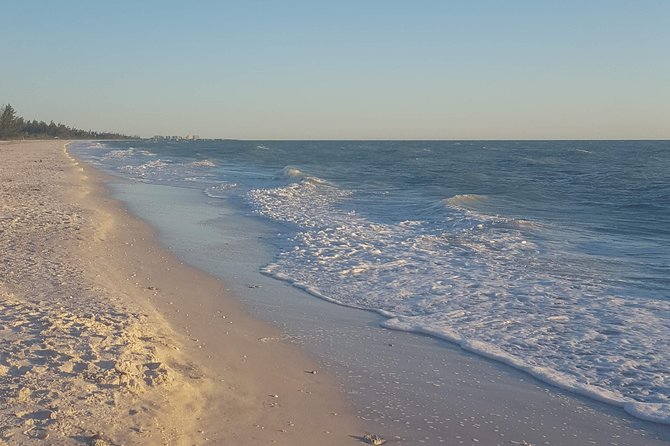 PRIVATE Eco Boat Trip out of Naples Bay, FL , island stop incl. - Comfort, Shade, and On-Board Practicalities (What’s Included)