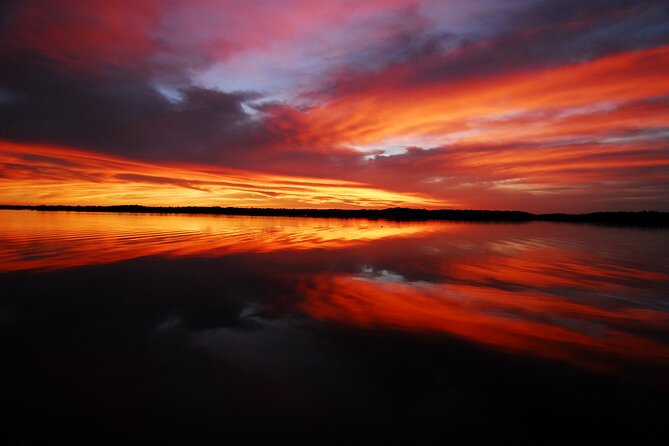 Private Everglades 10,000 Islands Photo and Birding Boat Safari - Photographing the Everglades from a tripod-ready boat
