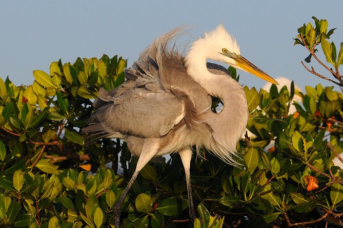Private Everglades 10,000 Islands Photo and Birding Boat Safari - Where you’ll start and end: Port of the Islands Marina