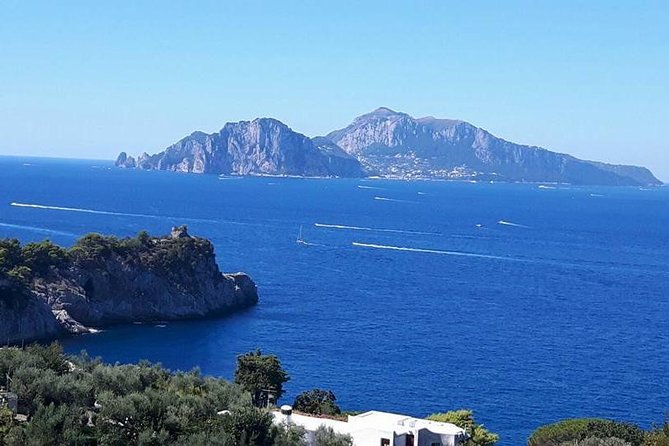 Private Exclusive Tour of Positano & Sorrento + Farmhouse Lunch - A sea-view farmhouse lunch in Sorrento with mozzarella-making