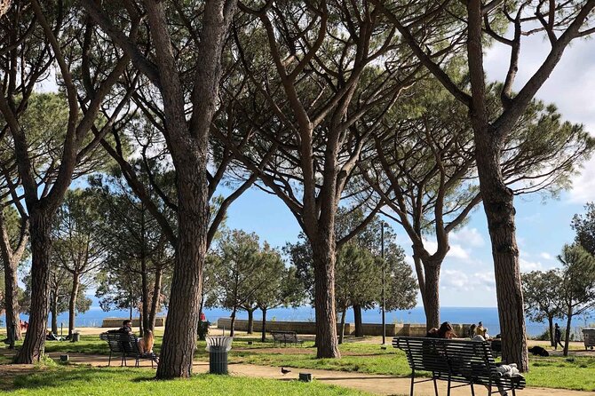 Private Guided Half Day Panoramic Tour in Naples - Meet at Calata Trinità Maggiore and plan your timing smartly