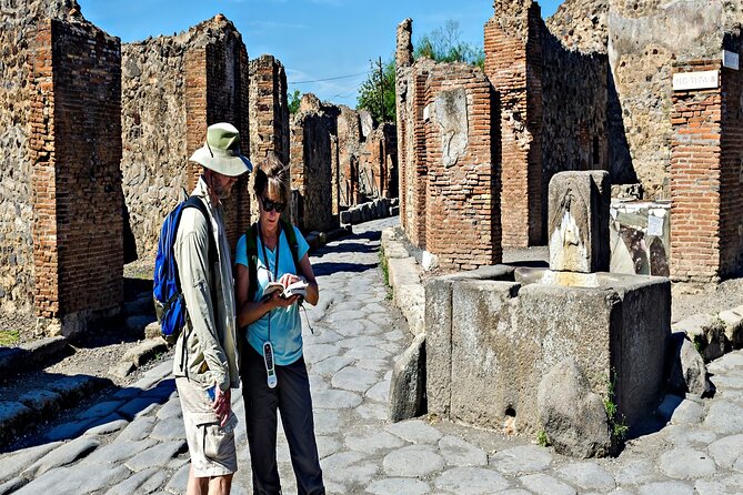 Private Guided Tour in Pompeii - Naples to Pompeii pickup: where the day really starts
