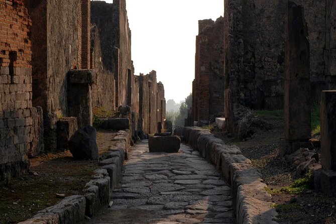 Private Guided Tour in Pompeii - Inside Pompeii in about two hours: how to make it count