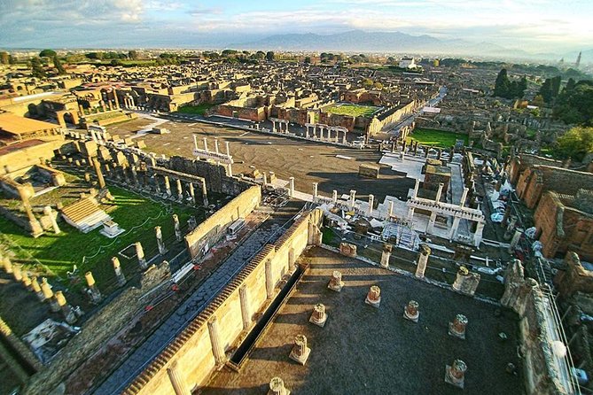 Private Guided Tour of Pompeii and Herculaneum - Parco Acheologico di Ercolano: what Herculaneum adds to your understanding