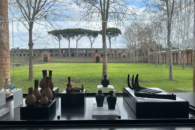 Private Guided Tour of Pompeii Excavations - Key highlights you should know
