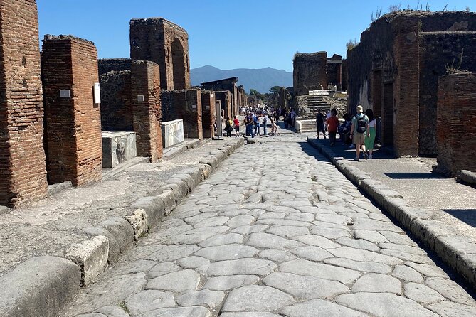 Private Guided Tour of Pompeii Excavations - Meeting at Via Marina, 6 and getting in through Porta Marina Superiore