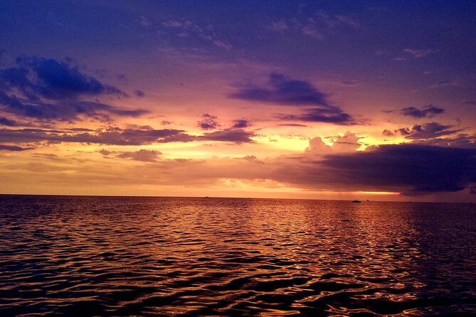 Private Half-Day Charter Tour in Naples, Florida - Who This Charter Fits Best (and Who Might Prefer Something Else)