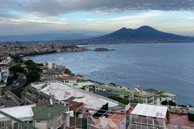 Private Half-Day Sightseeing Tour of Vesuvius National Park - Getting There in Naples: Door-to-Door Pickup and Traffic Reality
