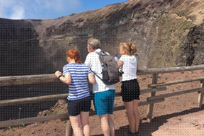 Private Half-Day Sightseeing Tour of Vesuvius National Park - English-Friendly… With a Real-World Driver Check
