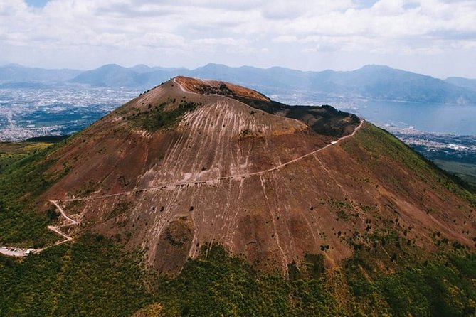 Private Half-Day Tour of Mt. Vesuvius - Who Should Book This Vesuvius Transfer?