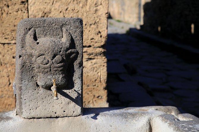 Private Half-Day Tour of The Pompeii Ruins Highlights and Mann - A smart half-day format for Pompeii that doesn’t feel rushed