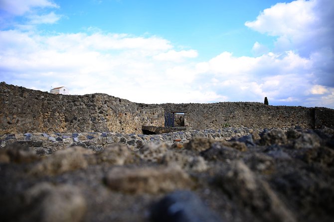 Private Half-Day Tour of The Pompeii Ruins Highlights and Mann - Lupanar is optional: control the vibe for your group