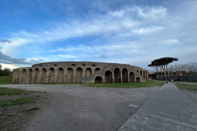 Private Half Day Tour to the Ruins of Pompeii - Price and logistics: what’s included, what’s extra, and where value lives