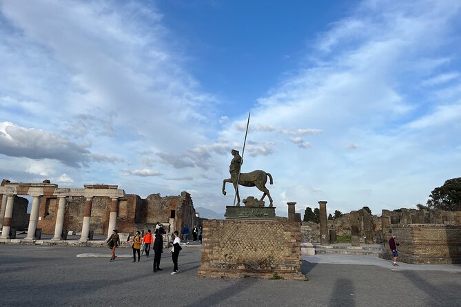 Private Half Day Tour to the Ruins of Pompeii - Optional lunch and Vesuvius wine tasting: a delicious add-on with time math