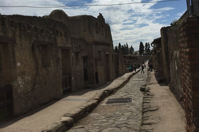 Private Herculaneum Tour for Kids and Families - How Vesuvius in 79 AD Becomes a Kid-Friendly Story