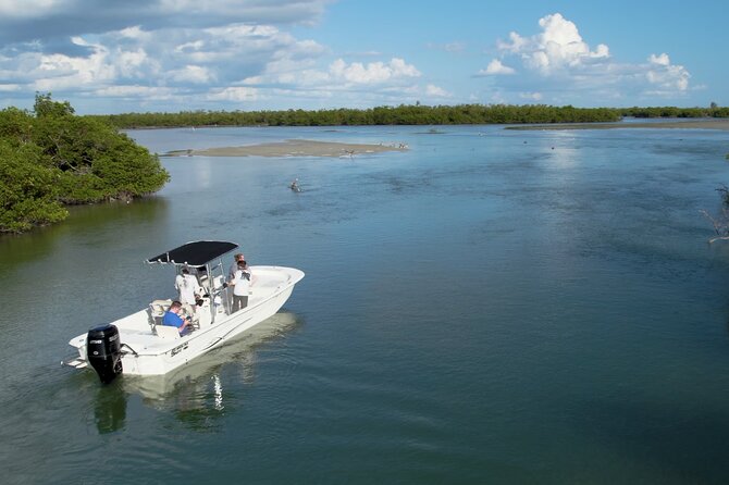 Private Marco Island / 10,000 Islands Sightseeing & Dolphin Tour - Ten Thousand Islands mangrove refuge: shells, dolphins, and ecosystem talk