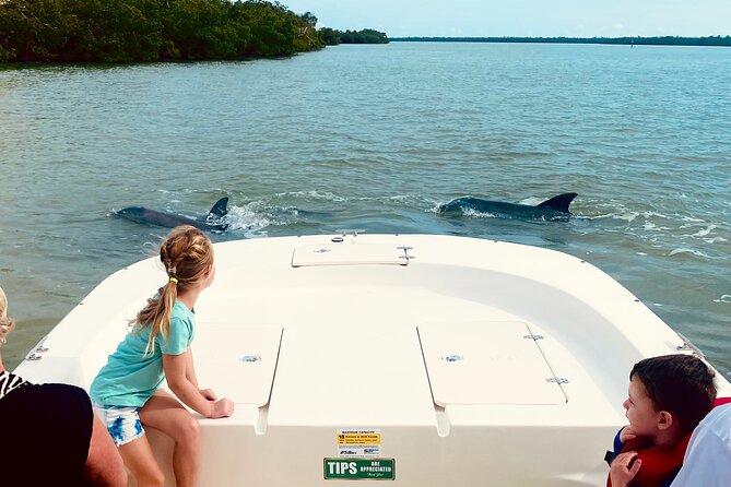 Private Marco Island / 10,000 Islands Sightseeing & Dolphin Tour - Marco Island coastline: estates, historical spots, and a change of pace