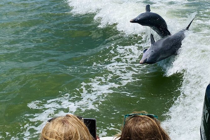 Private Marco Island / 10,000 Islands Sightseeing & Dolphin Tour - Should you book this Private Marco Island / 10,000 Islands tour?