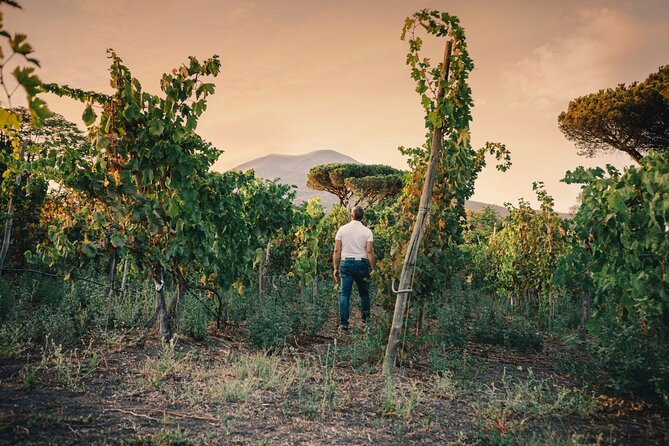 Private Natural Wine Vs Byodinamic and Organic Wine Tour - How the sommelier compares conventional, organic, biodynamic, and natural