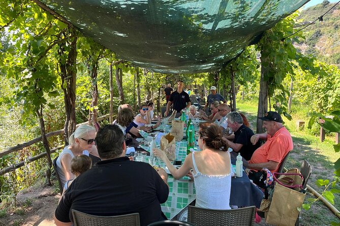 Private Natural Wine Vs Byodinamic and Organic Wine Tour - The PowerPoint history lesson: world wine to Italy to Campania