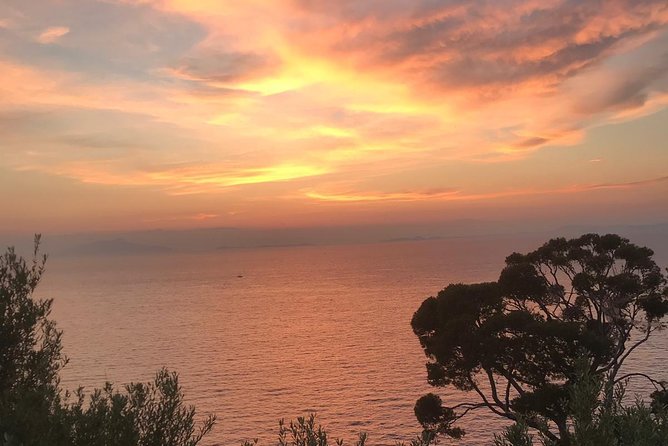 Private Night Transfer Amalfi Coast to Naples. - Pickup in Naples or Positano: Sign, Meet and Greet, Zero Guesswork