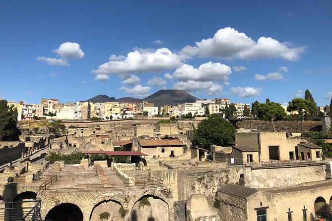 Private Pompeii and Herculaneum with Wine Tasting - Full Tickets - Cantina del Vesuvio: wine tasting with a set lunch and Vesuvio views