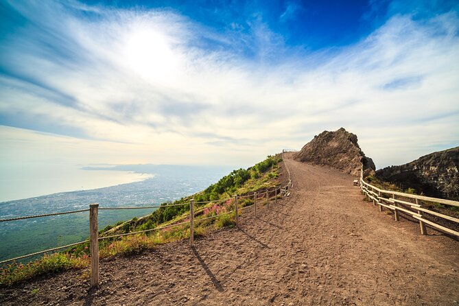 Private Pompeii and Vesuvius with Wine Tasting and Full Tickets - Logistics that matter: timing, flexibility, and who the guides really fit