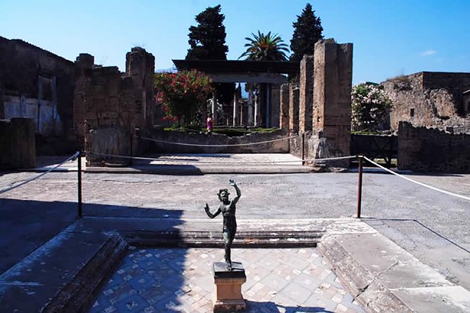 Private Pompeii Day Trip From Rome by Fast Train to Naples and Car Service - When things go wrong: the real test