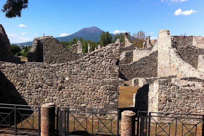 Private Pompeii Half-Day Tour with Skip-the-Line Ticket+Transfer - Who Should Book This Pompeii Private Half-Day Tour?