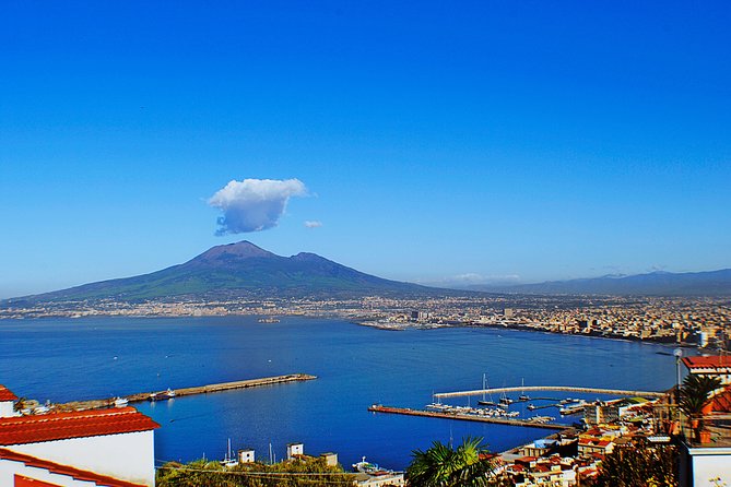 Private Pompeii Herculaneum and Vesuvius Full-Day Shore Excursion - Driver-led narration, then on-your-own wandering