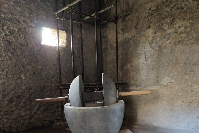 Private Pompeii Tour with Fast-Entrance Tickets to the Ruins & Exclusive Guide - Meeting point and getting oriented fast