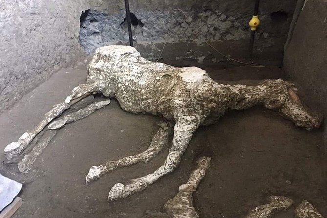 Private Pompeii Tour With Guide and Transfer Included - How the guide makes the ruins make sense (and not feel like homework)