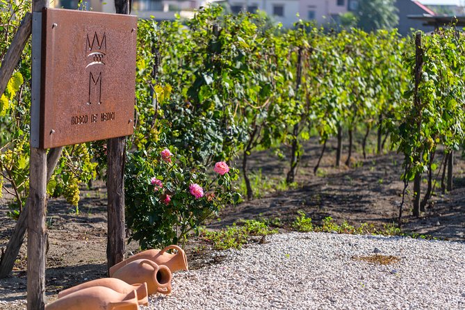 Private Pompeii Tour with Organic Wine Tasting & Lunch - Porta Marina at 9:30 am: the logistics that make this tour feel easy