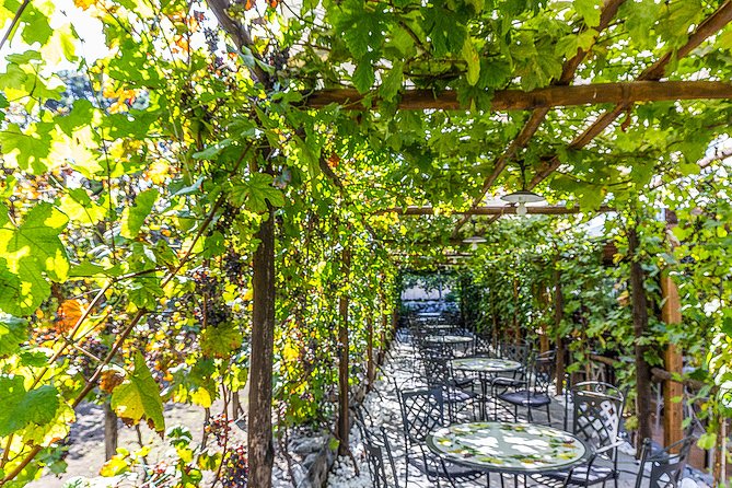 Private Pompeii Tour with Organic Wine Tasting & Lunch - How your guide helps you see more than the postcard version