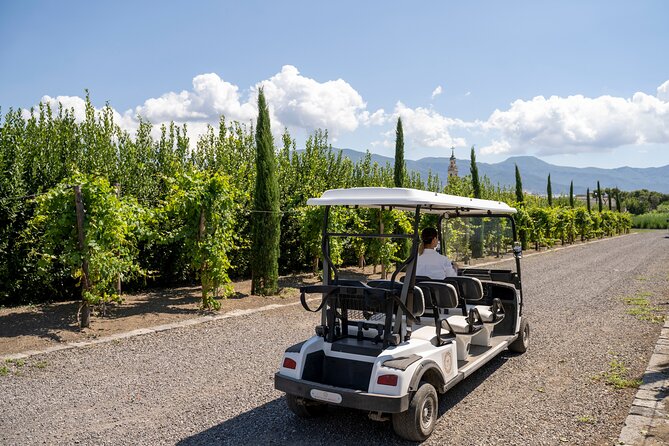 Private Pompeii Tour with Organic Wine Tasting & Lunch - Who this tour fits best (and who might skip it)