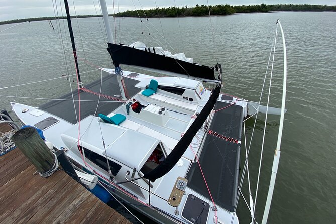 Private Sailing Tour through the Ten Thousands Islands - Wildlife on the route: mangroves, dolphins, turtles, and more