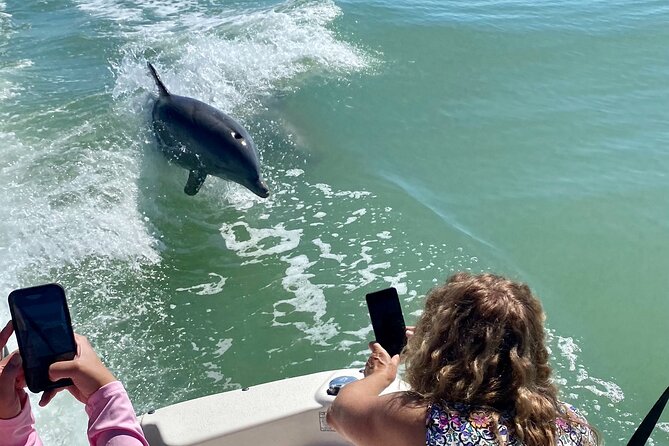 Private Shelling and Dolphin Excursion - Key highlights before you go