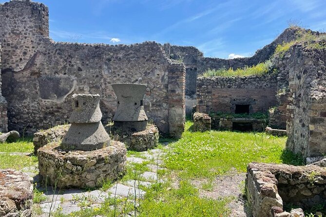 Private Skip The Line Archeo Tour Of Pompeii - Pizza Recommendation Day: Using the Tour Beyond the Ruins