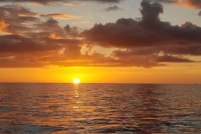 PRIVATE Sunset & Sightseeing Boat Trip of Naples Bay and the Gulf - Who This Naples Bay Sunset Cruise Suits Best