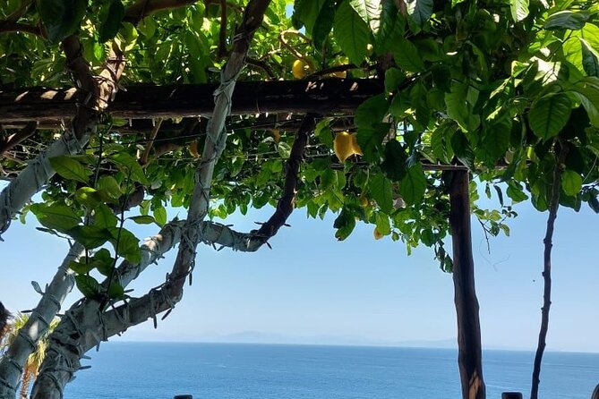 Private tour Amalfi Coast full day from Napoli or Amalfi Coast - 9:00 AM Pickup From Naples and Beyond: Making Logistics Feel Easy