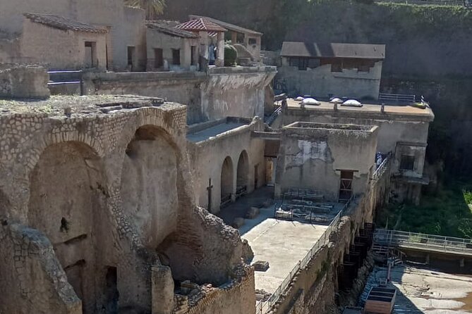 Private Tour in Herculaneum with an authorized guide - Price and value: what $150.18 really buys you