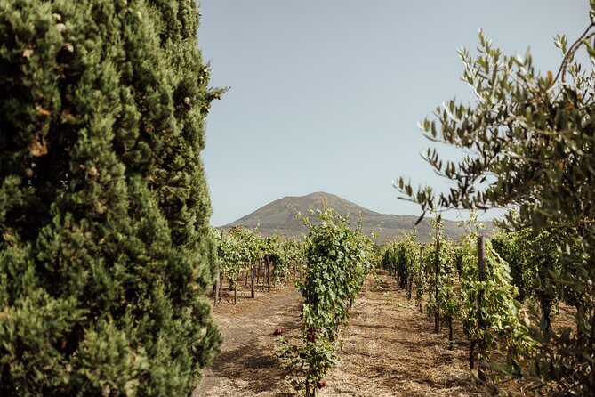 Private Tour in Pompeii and Vesuvius - Volcanic-soil flavors: what the food stop can mean for your day