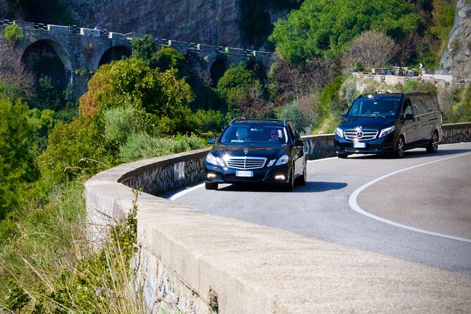 Private tour of Pompeii and Vesuvius from Sorrento or Naples - Your Driver and Door-to-Door Pickup From Naples or Sorrento