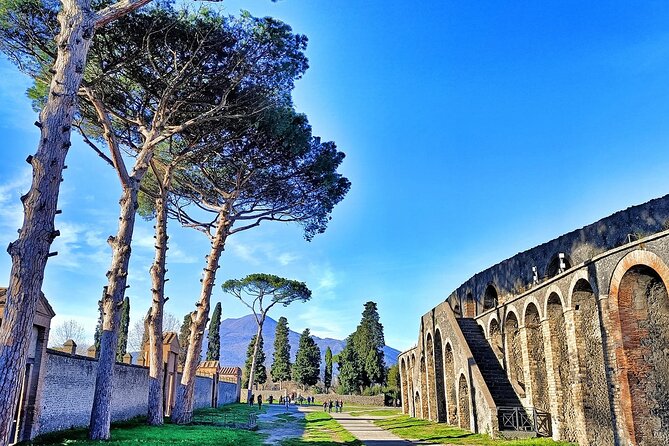 Private tour of Pompeii with archaeologist - 3 hours. - Price and value: $360.42 per group up to 10