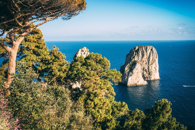 Private Tour of the Amalfi Coast and Pompeii - Price and Logistics: Is It Good Value for a Private Day?